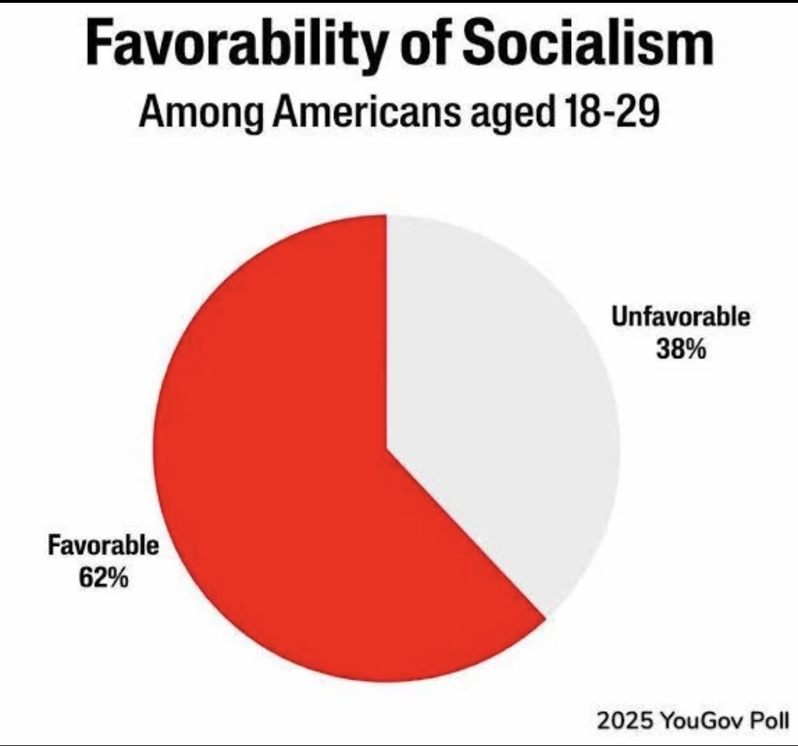 ATLCWorker's tweet image. The youngsters favor Socialism 
✊🏻