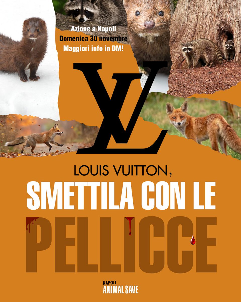 SaveNapoli's tweet image. Unisciti a noi questa domenica a #Napoli per chiedere a Louis Vuitton di diventare completamente SENZA PELLICCE! 💥

Contattaci in privato per prendere parte anche tu a quest'azione insieme al movimento anti-pelliccia globale, in concomitanza del #Fur Free Friday! 🦊

#Pelliccia