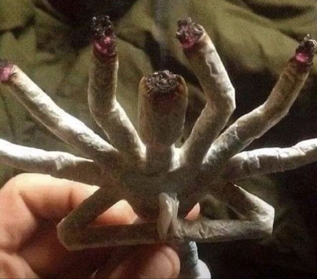 memesconha's tweet image. Quando a maconha tem que lembrar a brisa