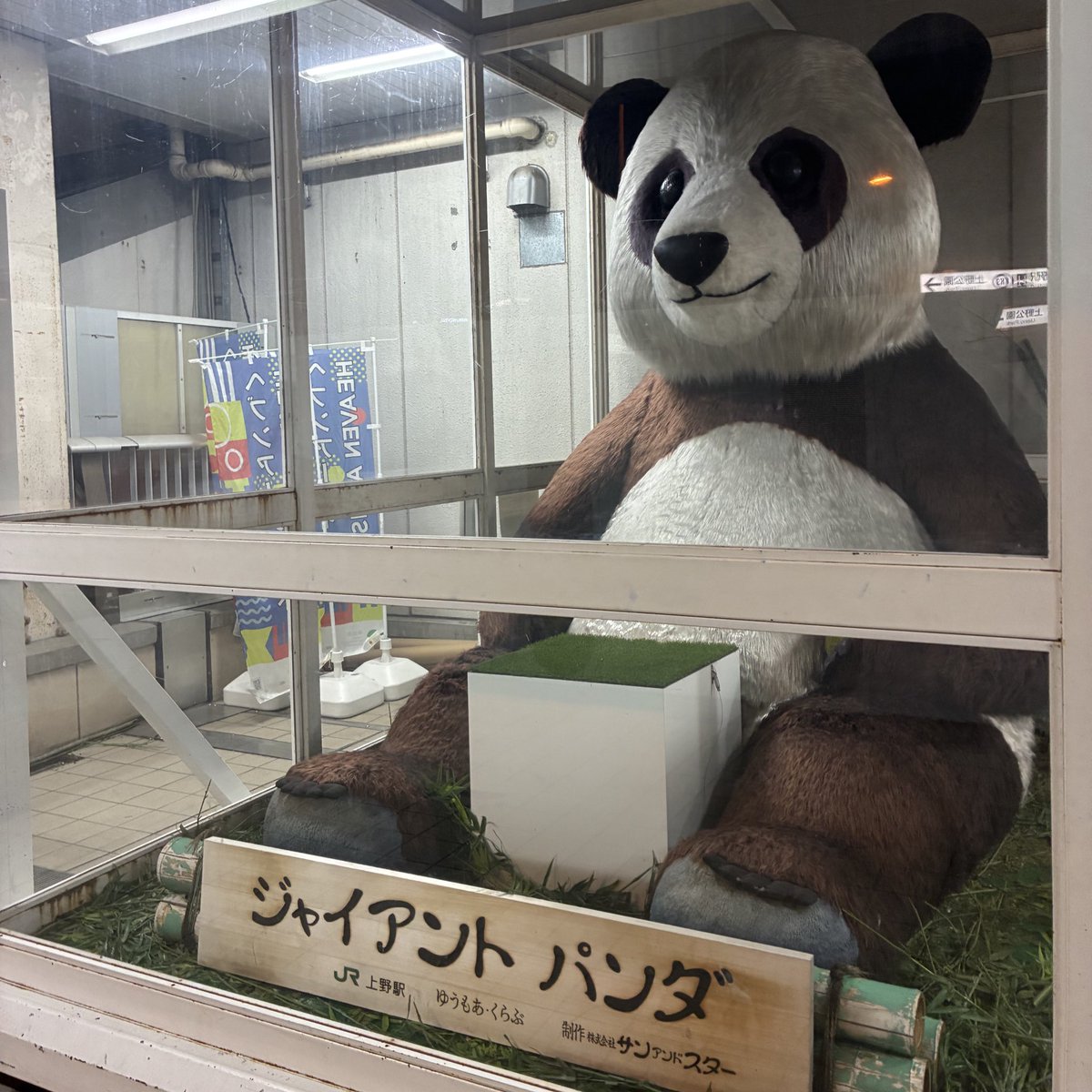 これもネタバレになるかもしれないから載せないけど、今日行った人で気づいてない人いたらALT見てね🙆‍♀️