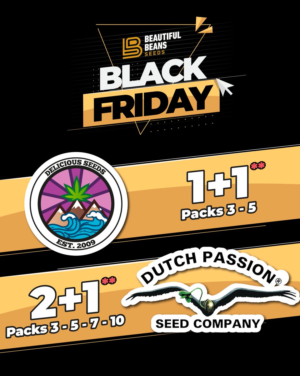 Beautiful Beans Seeds tweet media