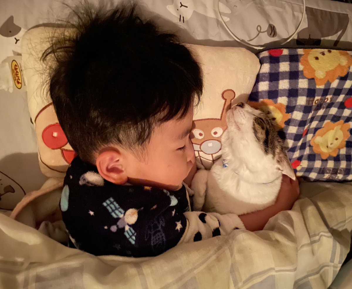 ゴンゾウR4 (@R453374510) / Highlights / X