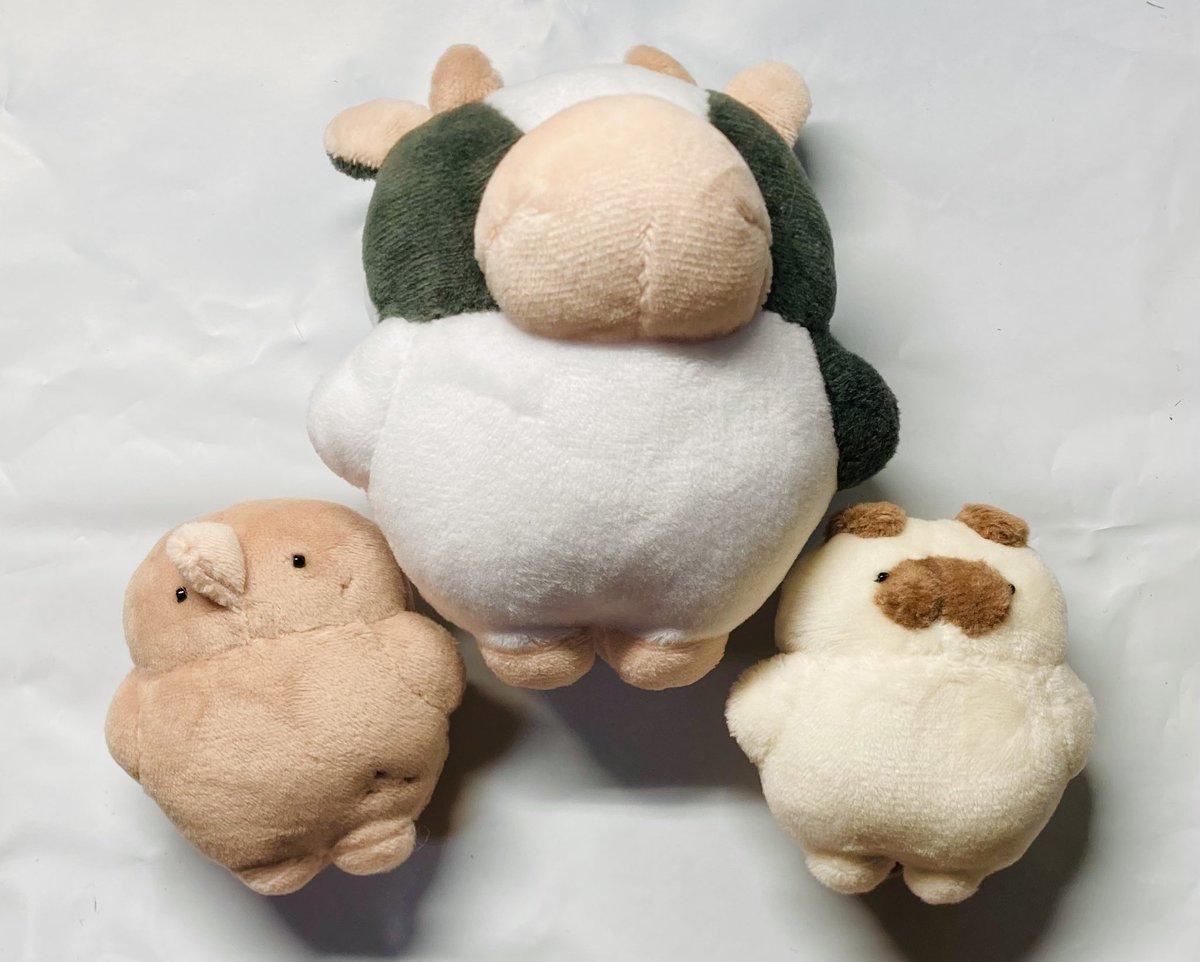 鯨蛸⚓️ (@137syou) / Posts / X