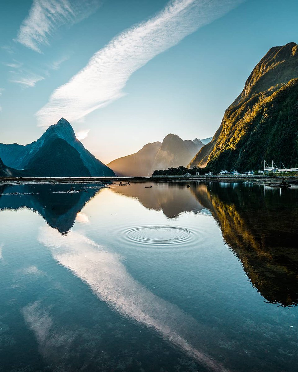 earthcurated's tweet image. A peaceful moment in Milford Sound, New Zealand 🇳🇿