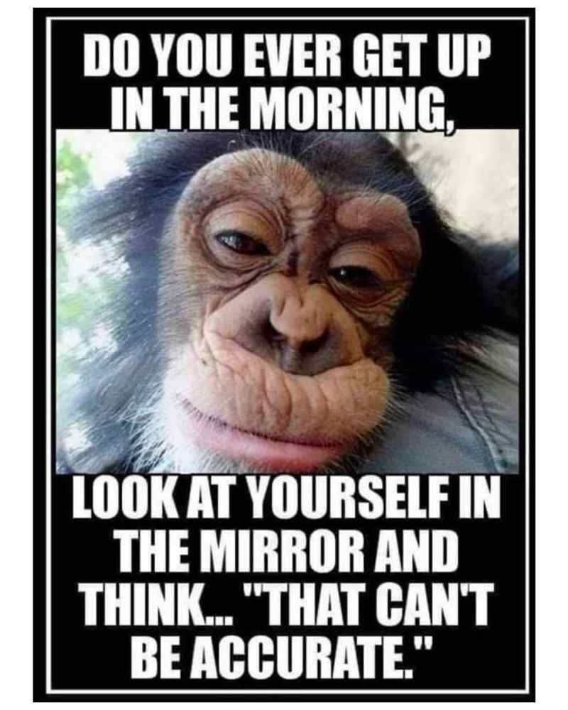 Good morning Patriots!🇺🇸🇺🇸🇺🇸

Hope yours have a beautiful day, and stay warm! 🥶🇺🇸💪☕️

Christ is King!👑 ✝️