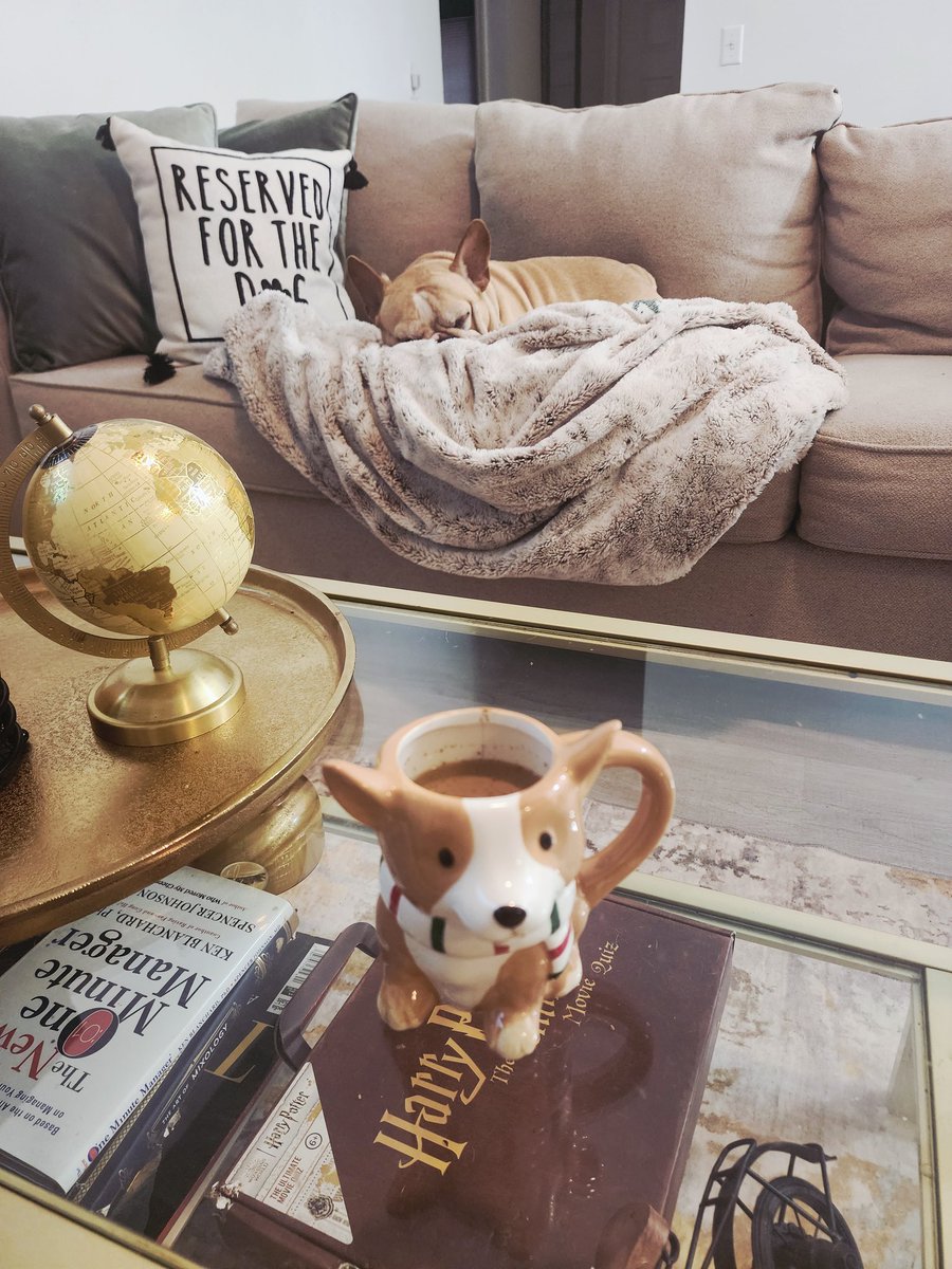 GettingEricD's tweet image. When my assistant works asleep. #Rocco #FRENCHIE