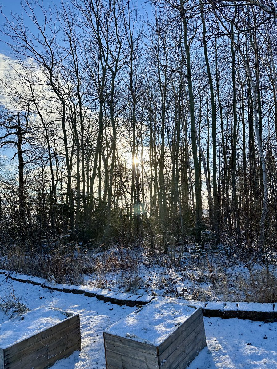 btleparadis's tweet image. La lumière ☀️☀️☀️☀️