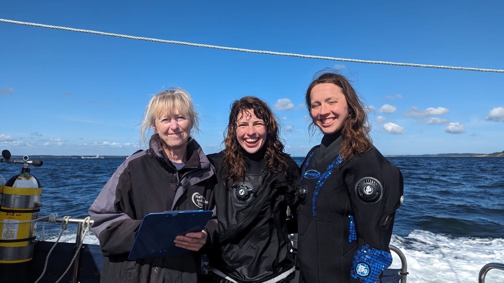 Maritime Archaeology tweet media