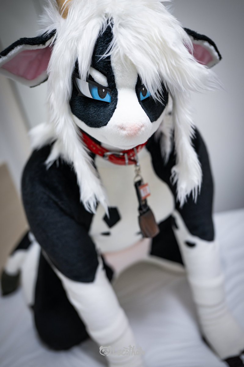 I want you to love me 🥺
📸<a href="/Lacotot/">Laco🐼📷➡️JMoF2026</a>