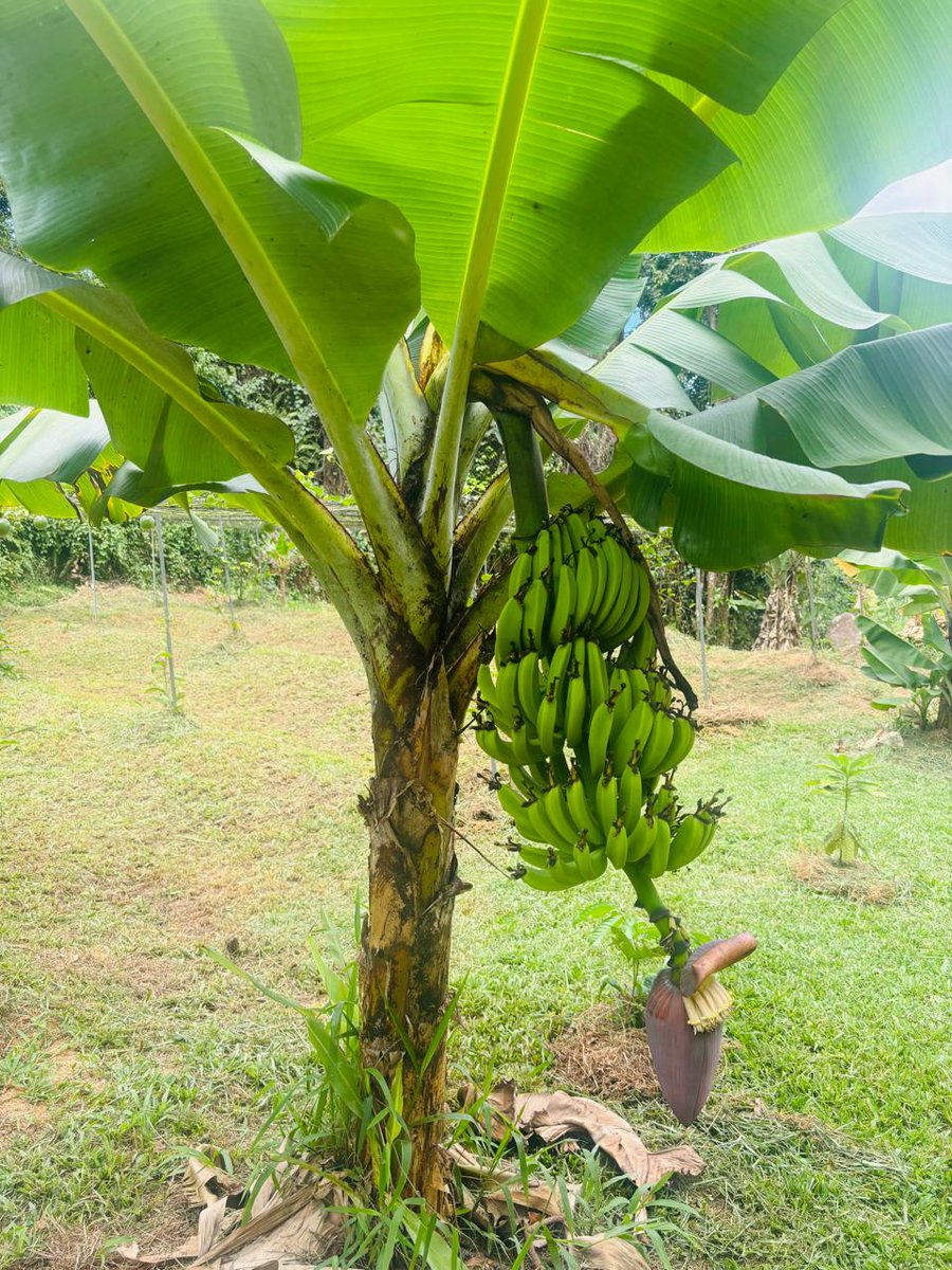 SeyBluefloat tweet media