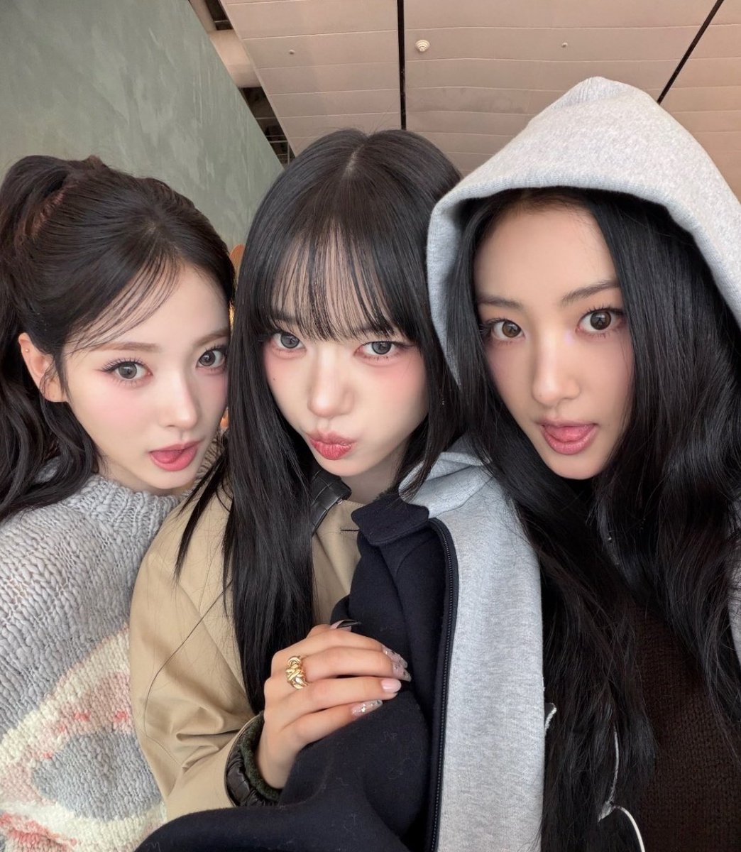 sooinnapics's tweet photo. fav cat trio https://t.co/SuZnpS62k4
