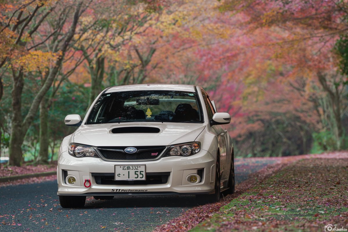 しんしん tweet media