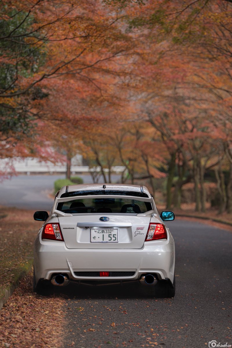 しんしん tweet media