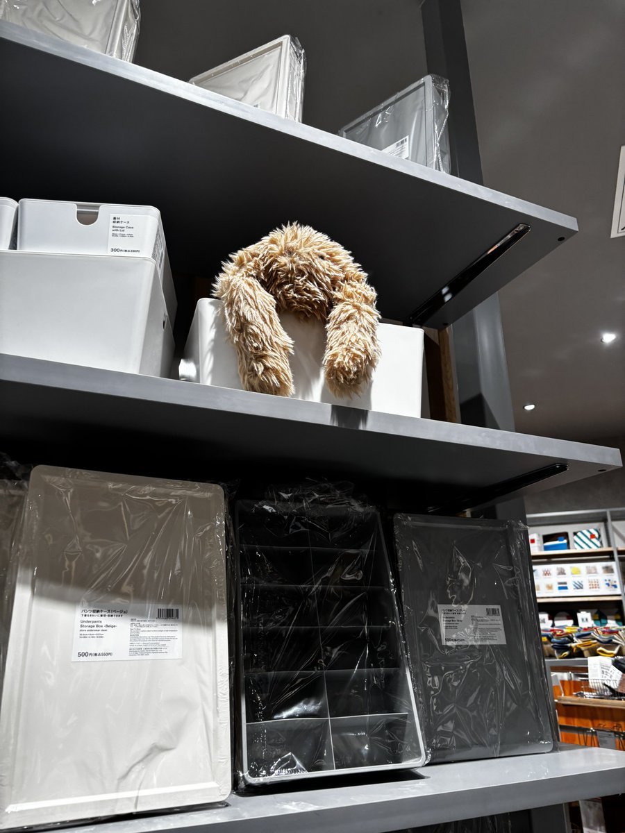 しばたる👨🏻 (@1110em) / Posts / X