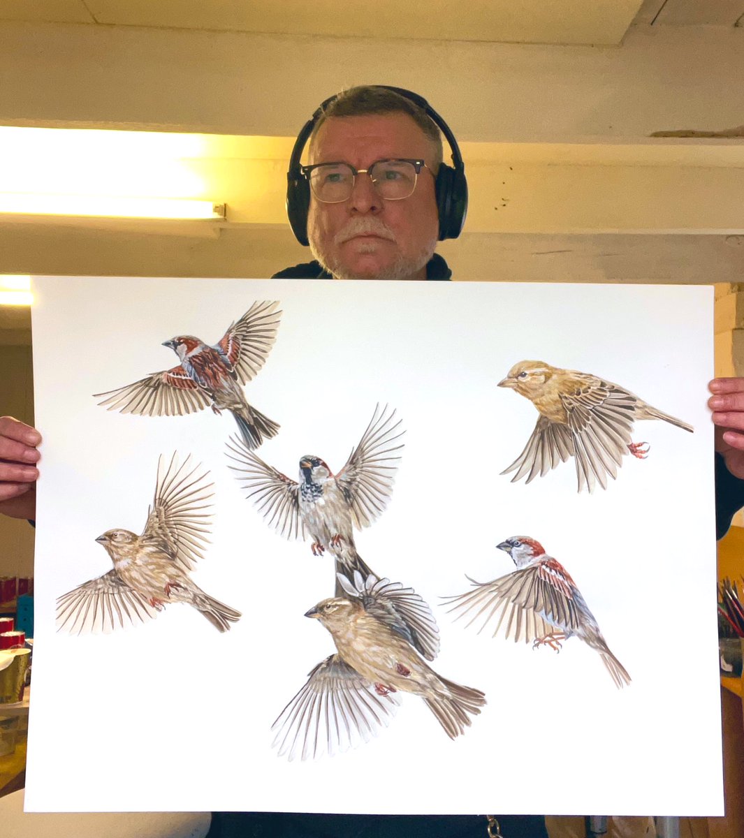 AtelierGeeraets's tweet image. Ik maakte een tekening. Het zijn 6 mussen in vlucht. Ik hoop dat u het iets zult vinden. 

‘Mussing in action’
50 x 65 cm 
Aquarel op papier 

Delen is lief.