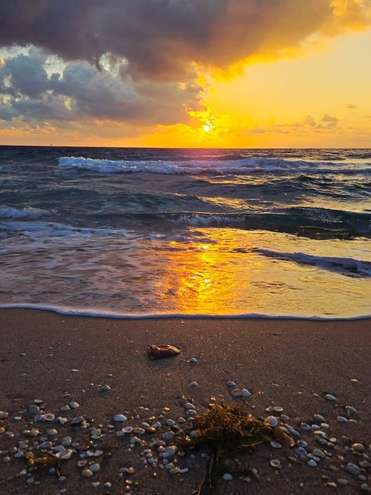 Good morning from beautiful SoFla.

As Thanksgiving approaches
I keep returning to the idea of community,
to what it really means to belong
and how unexpected places become home.

We often imagine community as a room full of people,
a table,
a place where everyone gathers at