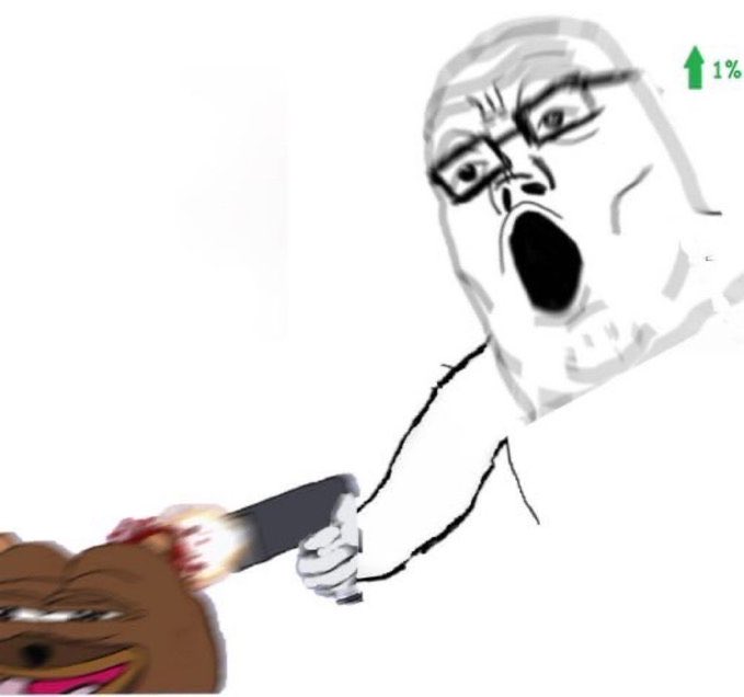 Bruh Bears ʕ•ᴥ•ʔ tweet media