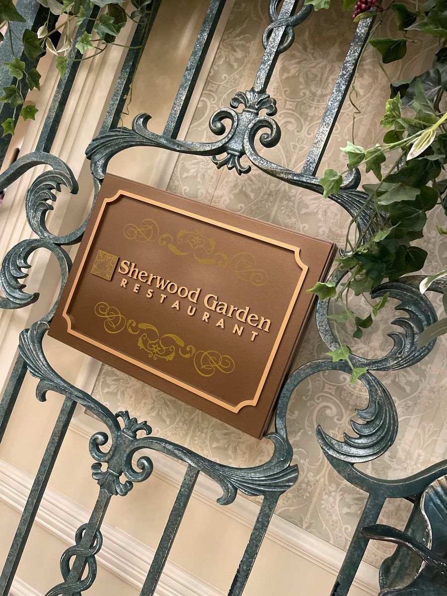 #ディズニーランド
ひっさびさに行けました！

とっても楽しかったです！
クリスマスってこんな感じで煌びやかなんですね✨