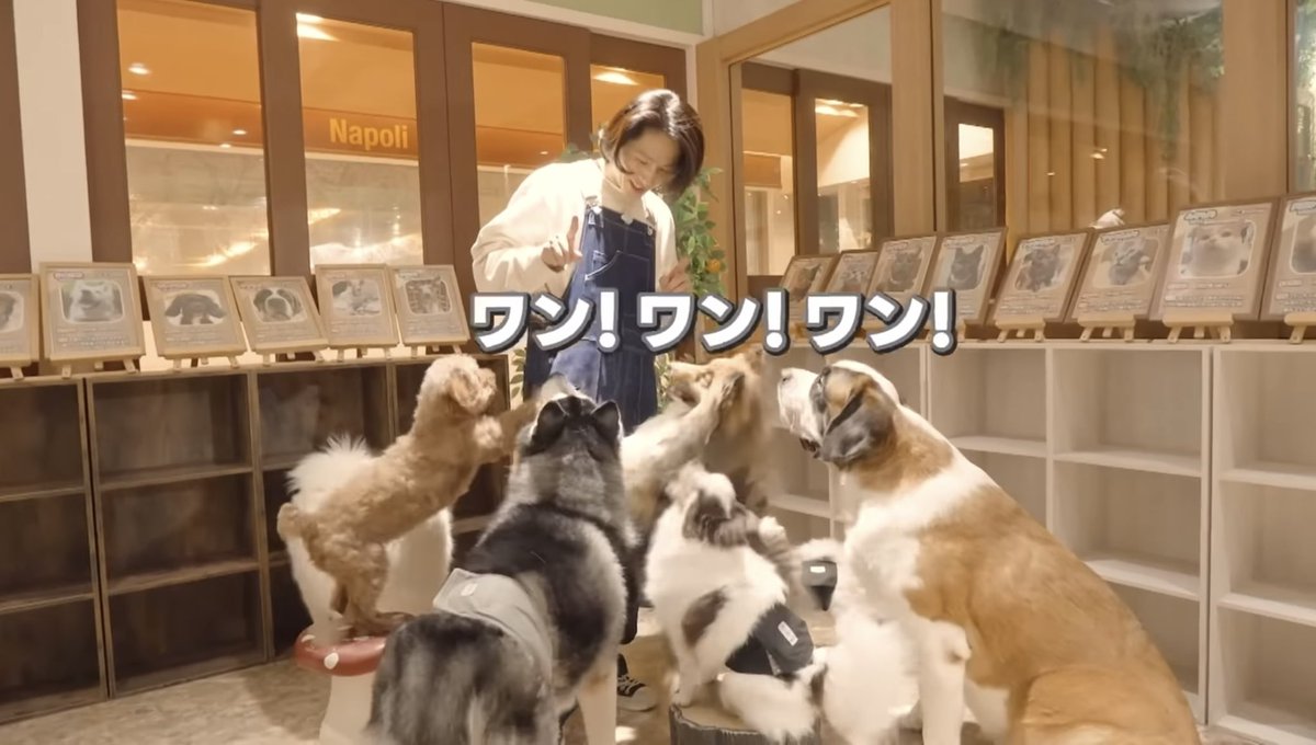 nico_6211's tweet image. なんだか既視感あるなと思ったら🐕🐩🐕‍🦺

#君真空管健 
#三宅健