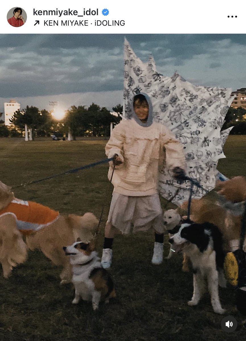 nico_6211's tweet image. なんだか既視感あるなと思ったら🐕🐩🐕‍🦺

#君真空管健 
#三宅健