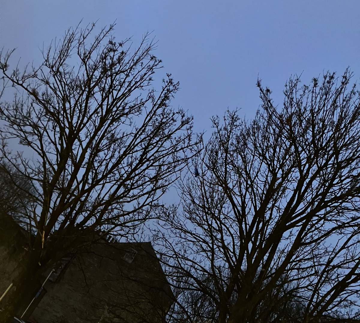 MurdhySyntax's tweet image. A gloomy morning in Lancaster❄️♥️❄️