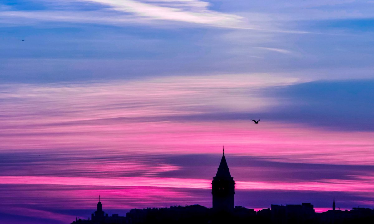 gardenofcolours's tweet image. 