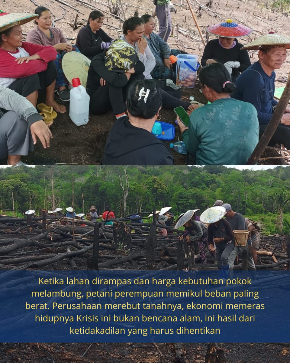 ⚠️Perempuan Adat, Anak-anak &amp; Pangan Lokal dibawah belenggu Mayawana Persada. Akibat pembabatan hutan, alih fungsi lahan, pengrusakan ekosistem gambut, lahan pertanian &amp; agroforestri milik masyarakat adat 

#perempuanadat #womenempowerment #foodsovereignty  #deforestation