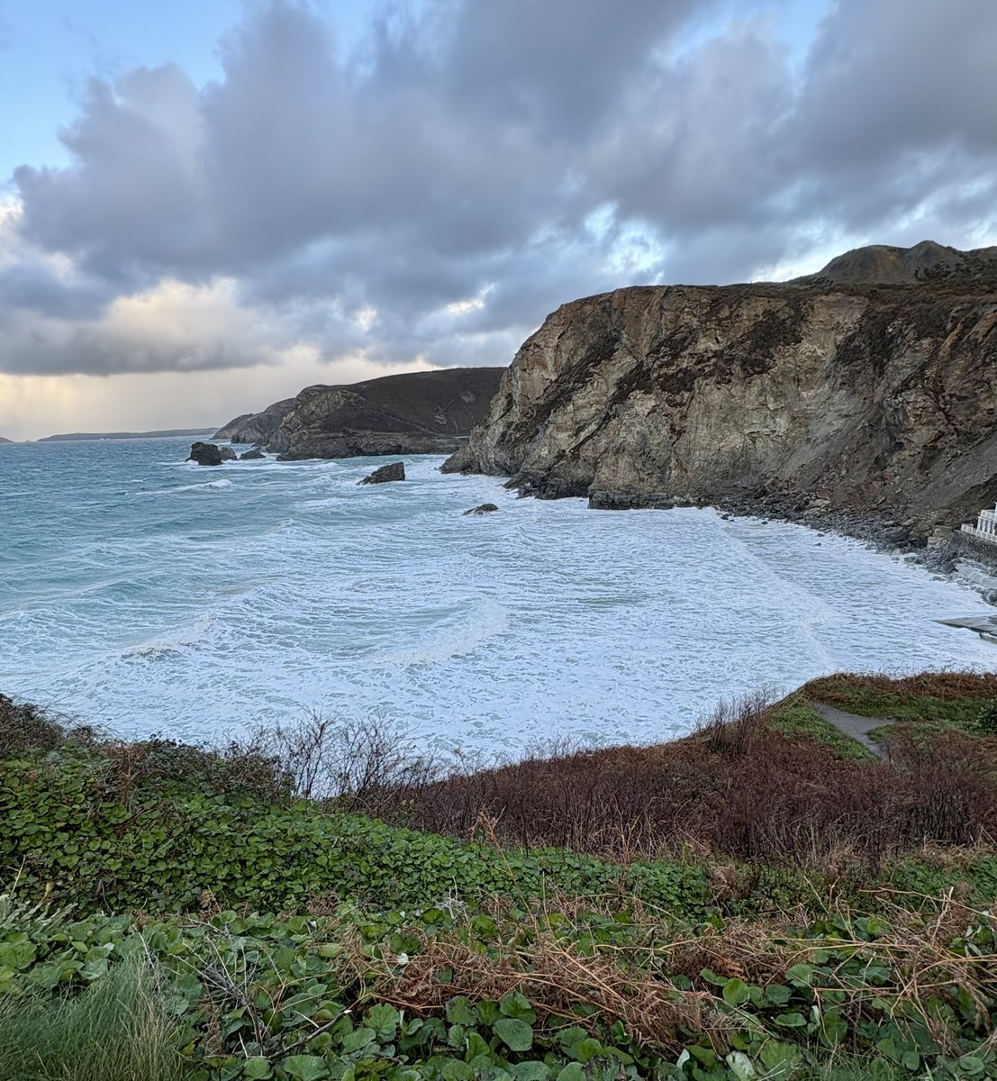 georgiawrites's tweet image. Catch up with all my news on the Bloggy Blog:

georgiahill.co.uk/?p=4652

#authorlife #cornwall @Ianwilfred39 #stagnes #sourdough