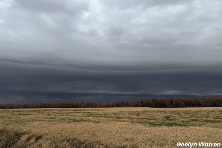 WPSDLocal6's tweet image. Good morning! We have some bold skies to share with you today ☁✨ Rain or shine, send all your photos here: 
wpsdlocal6.com/site/forms/onl…