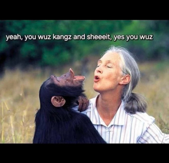 giant36994147's tweet image. The only reason you are slightly more advanced than this, is because you had the luxury of access to white culture. But at the end of the day this is what your people have become in your ancestral homelands after hundreds of years of &apos;YT&apos; leaving africa to it 🤷🏻‍♂️