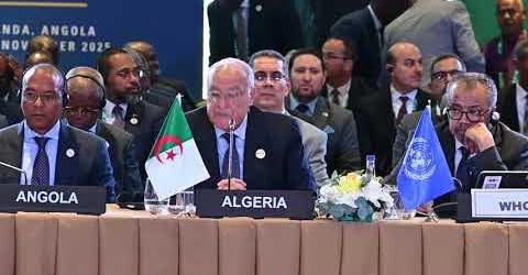 Embassy of Algeria in New Delhi tweet media