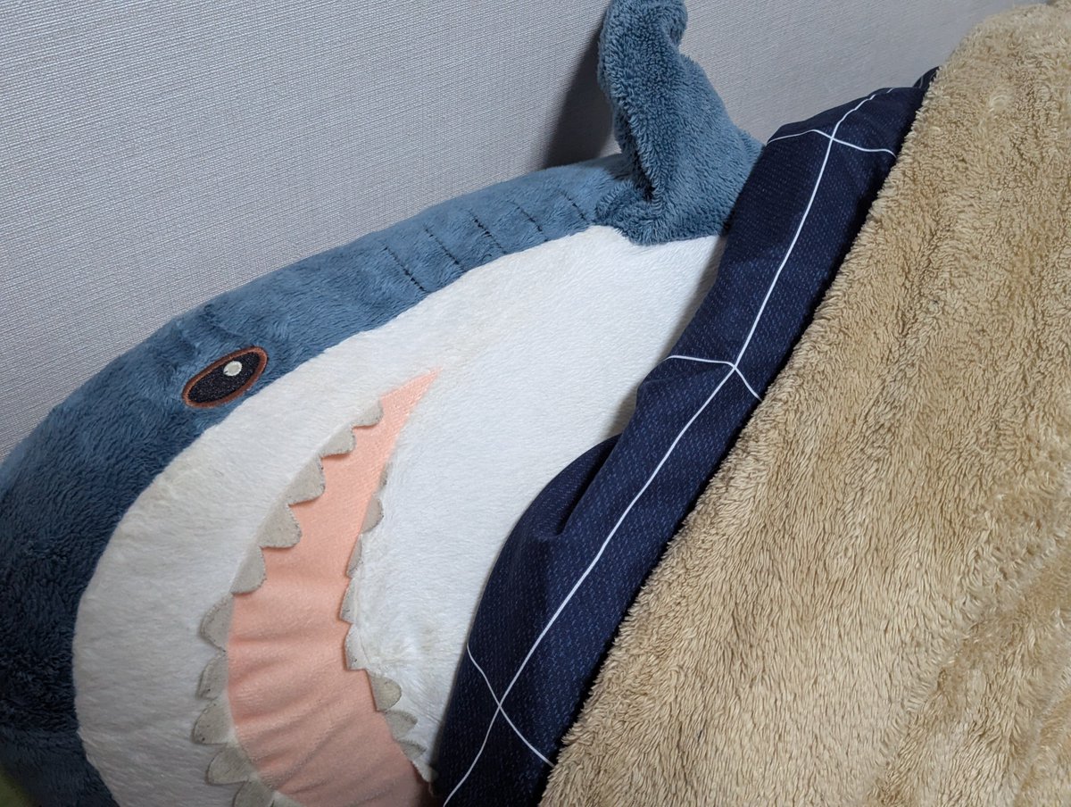 パセリ (@paseri3739) / Posts / X