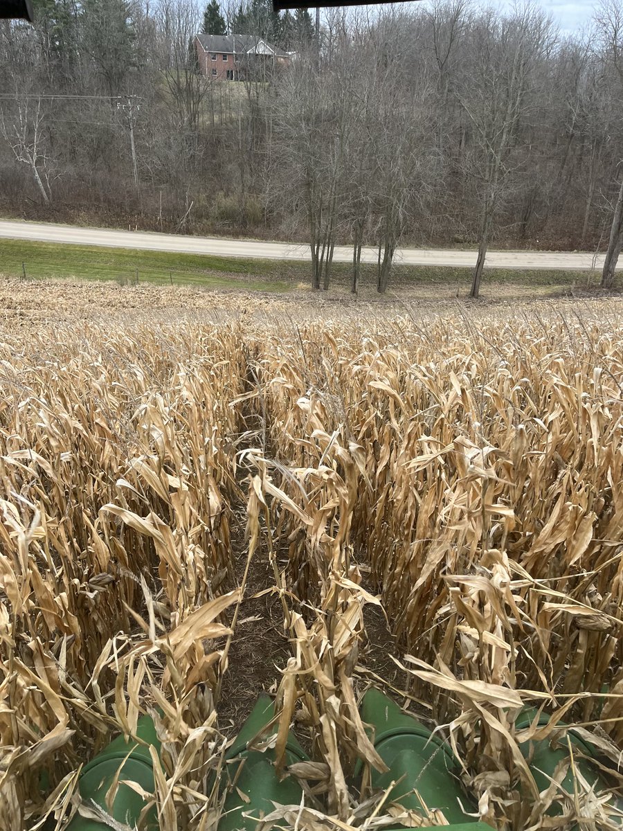 I want this hill off before it turns white