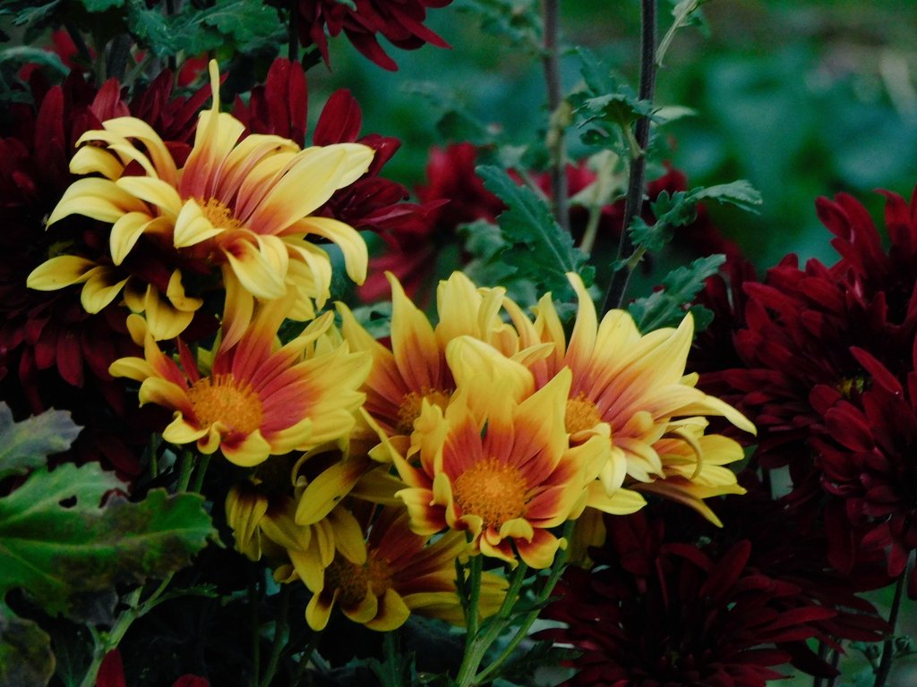 gura_201's tweet image. 自分が身体が辛くて
キツイ毎日だとしても

誰かを励ます
その姿は

とてもかっこよく、

目にした私も
元気貰ったよ

独り言