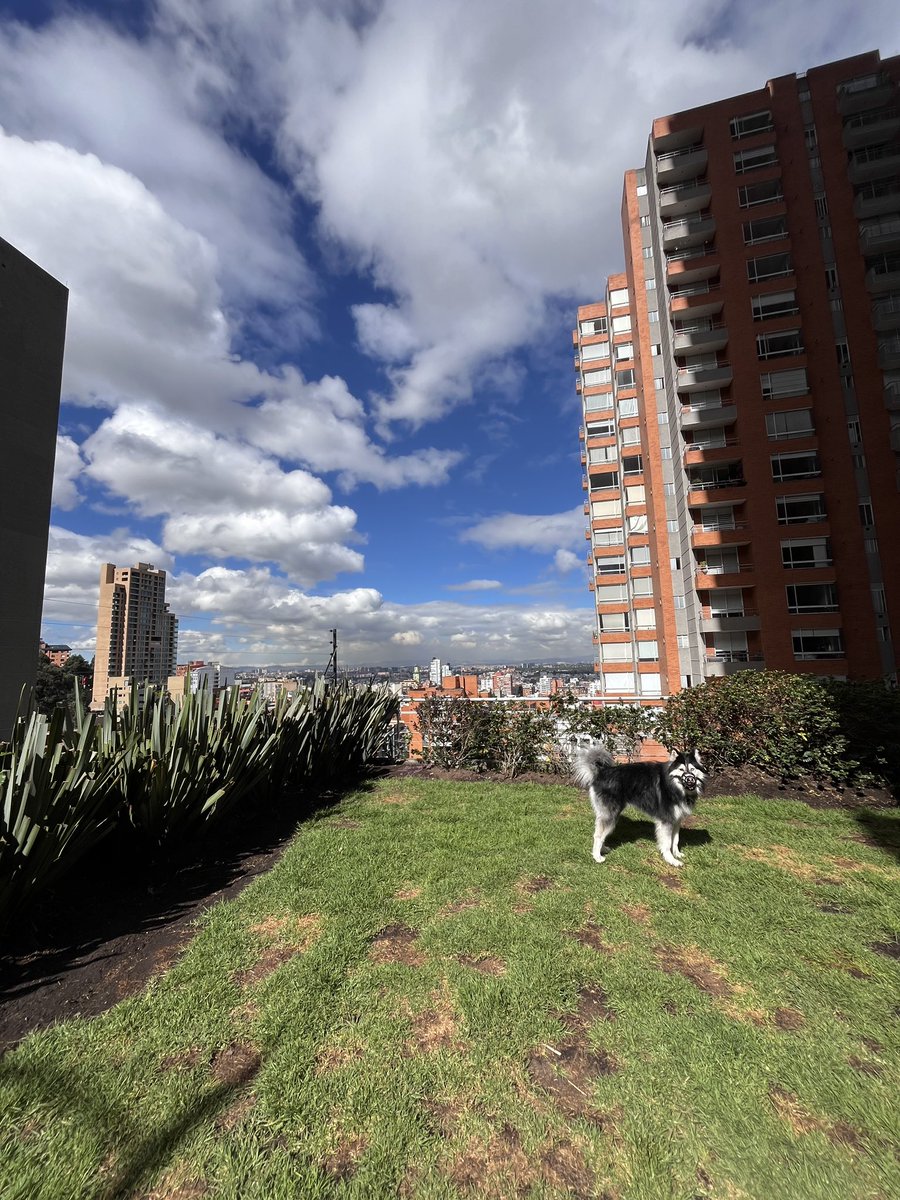 juaNFT_ETH's tweet image. Remember to touch some grass