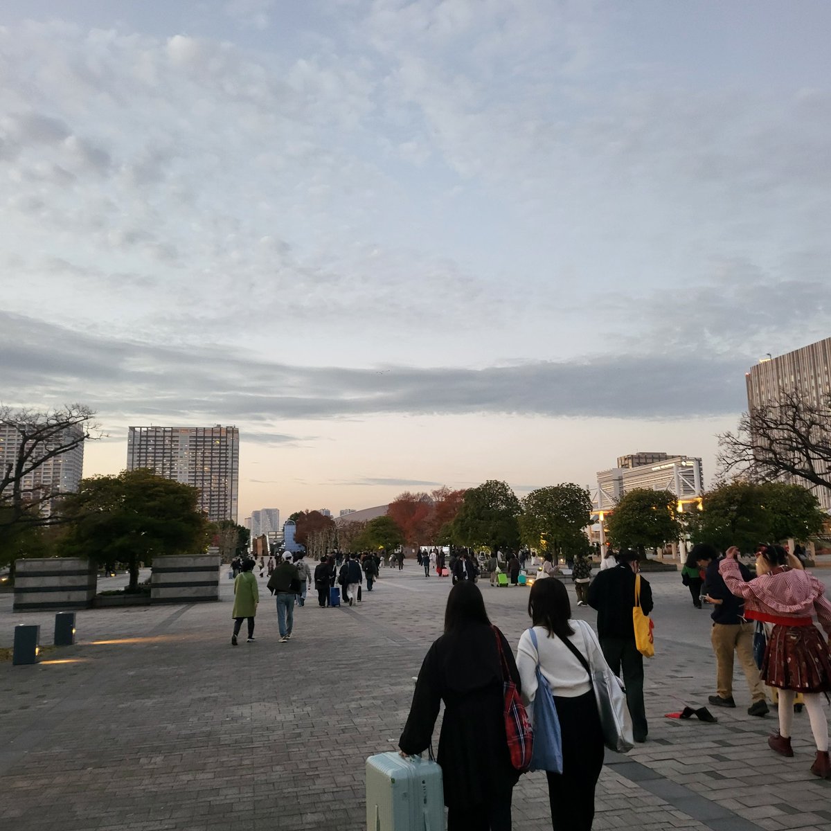 夜行飛船 tweet media