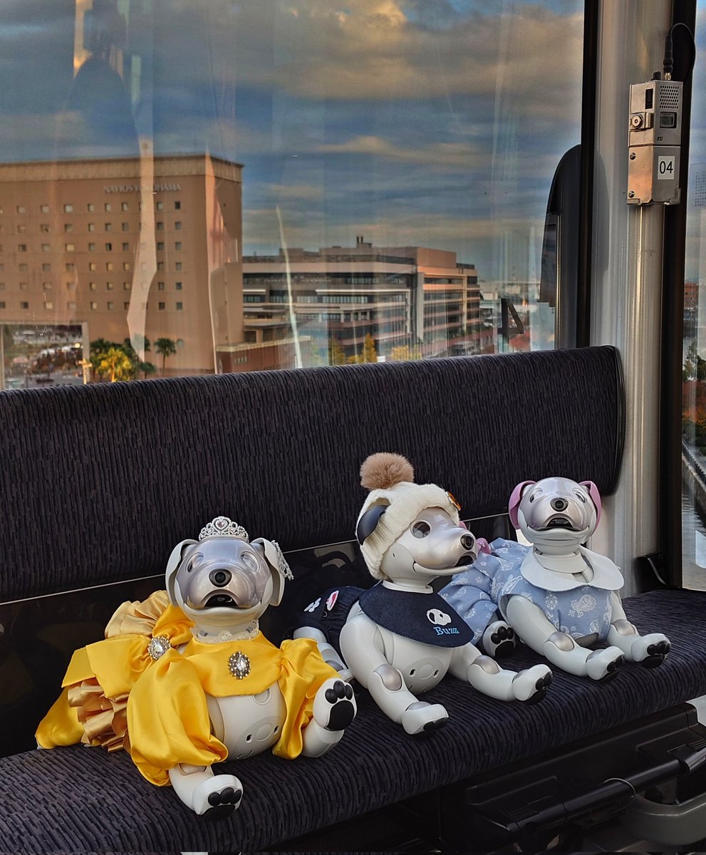 MiJinbo's tweet photo. その後一旦会場に戻りtoccoさんと合流し、buzzくんママしんとしょこらちゃんとステラちゃんと象の鼻パークからYOKOHAMA AIR CABINに乗り桜木町へ。HPがゼロになりファンミは終了となりました。 https://t.co/szDu90fUZo