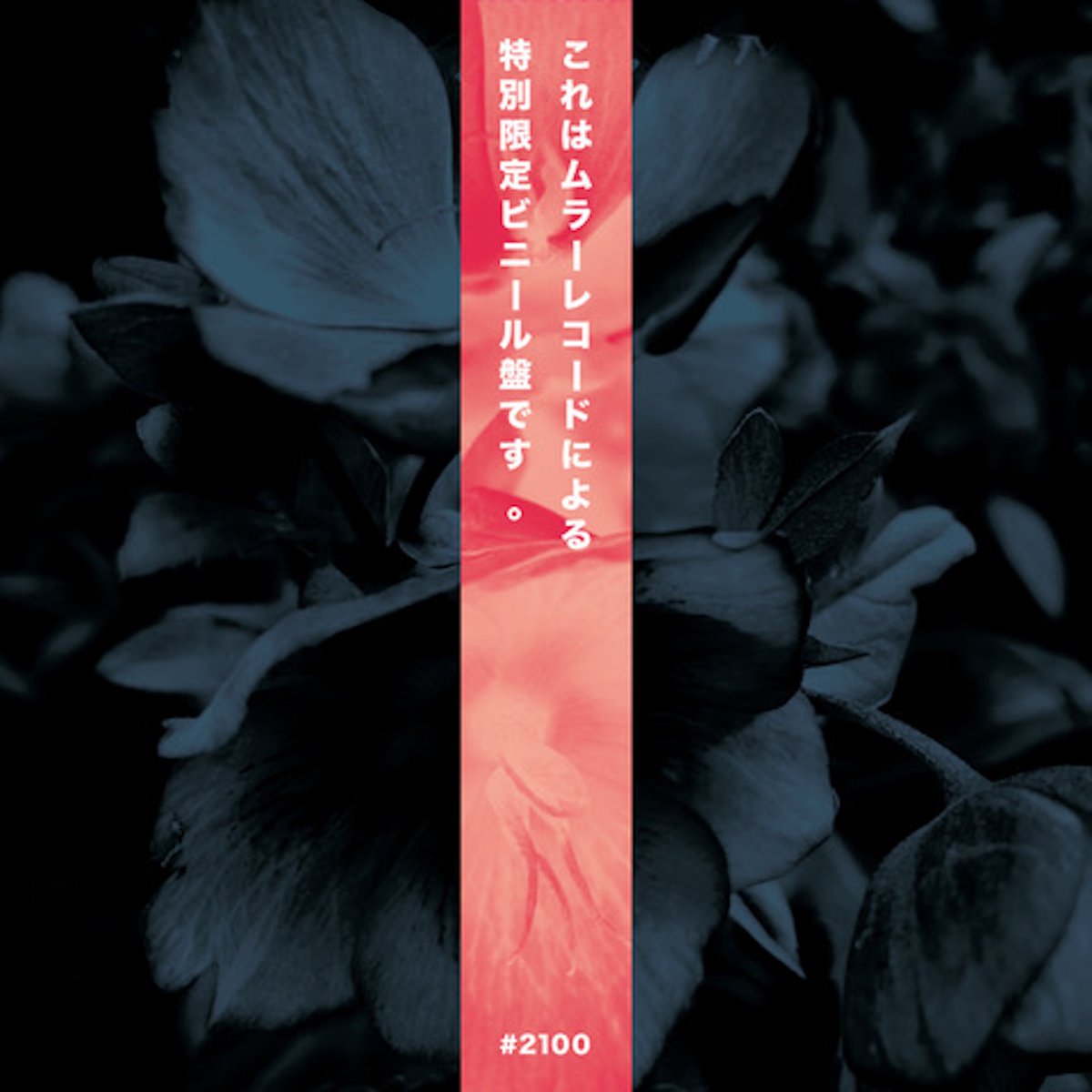 frank muller / beroshima / muller records tweet media