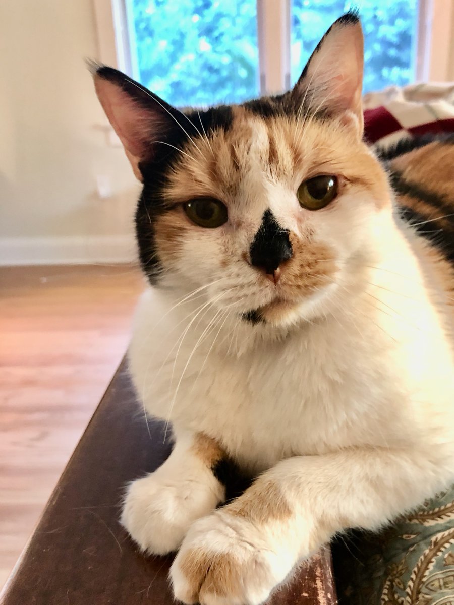 Nancy Stone tweet media