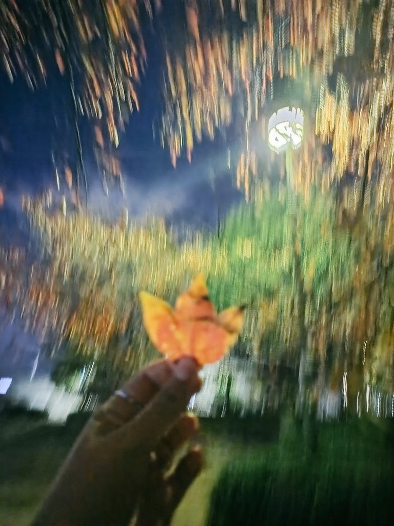 Kidsssssss01's tweet photo. 椛 🍁 https://t.co/NW3cRAOpvz
