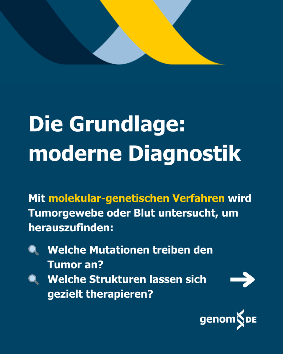 genomDE's tweet photo. Personalisierte Medizin heißt: Therapien, die zu den genetischen Eigenschaften eines Tumors passen.
Dank Genommedizin lassen sich gezielt Krebszellen angreifen – wirksamer, individueller, oft mit weniger Nebenwirkungen.
Mehr Infos: https://t.co/27ku2WtTo6 https://t.co/y22WkVHMnt