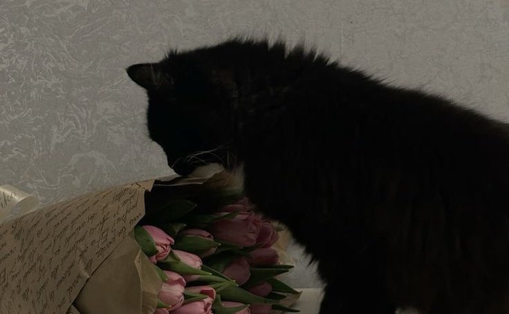 bibi__7777's tweet image. 