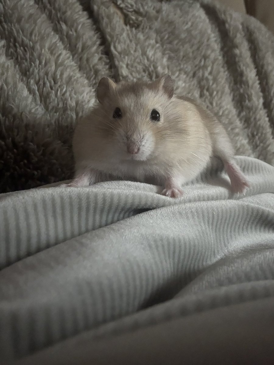 うの (@0000_uno) on Twitter photo 