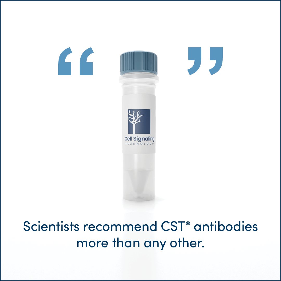 CellSignal's tweet image. You shouldn’t just take our word for it. See what the world’s top scientists are saying about how our products perform 👇
hubs.ly/Q03JC-VS0