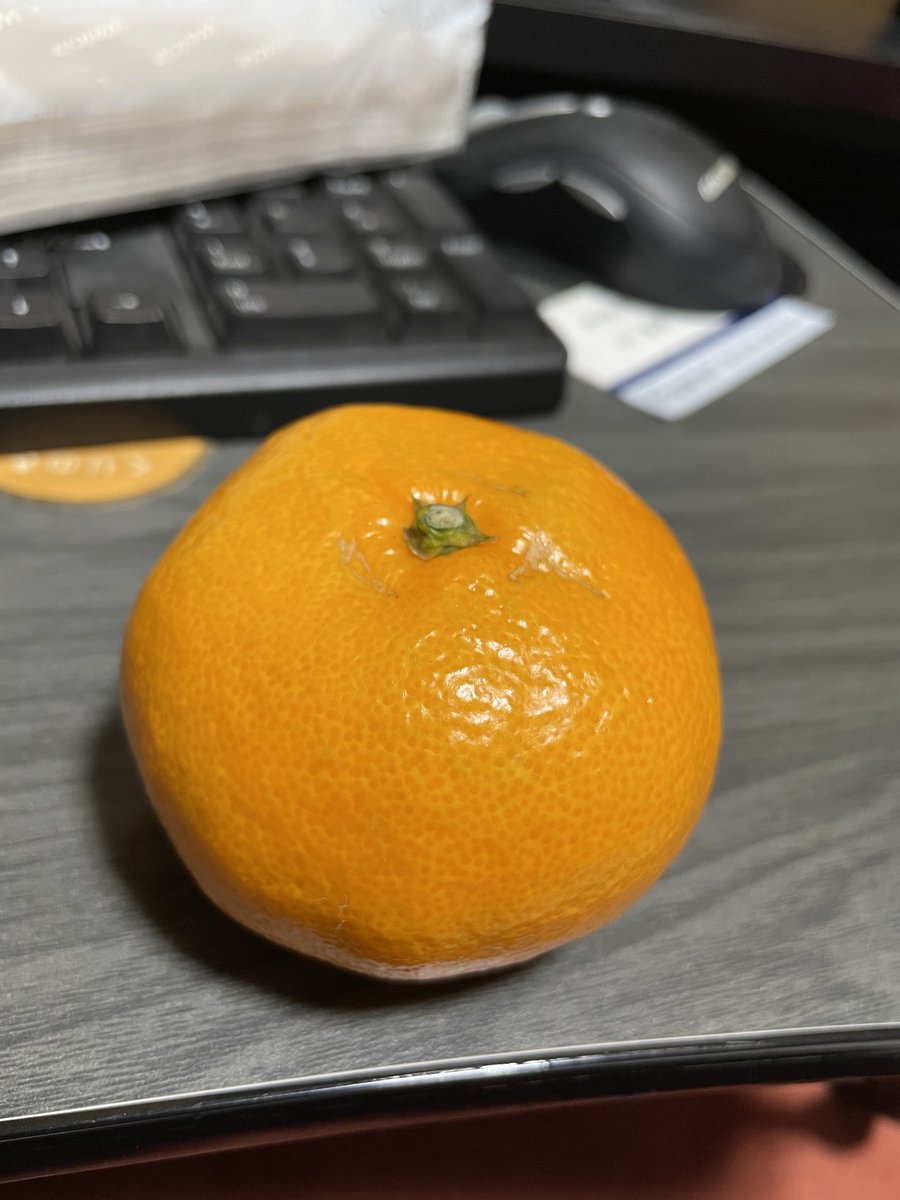 母が和歌山県産の有田みかん🍊を箱買い📦してくれてて食べてるけど美味すぎて止まらん🤣

柑橘系で日本のみかんは世界一美味いと思います。
