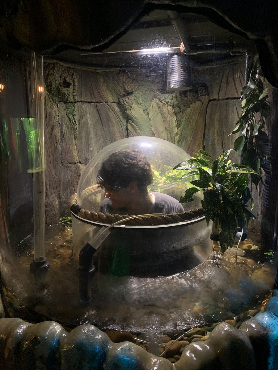 KAESocial's tweet image. Our KAE students did some underwater exploration at the SEA LIFE London Aquarium! Practising English while looking at vibrant marine life right in the heart of London? Sign me up (to the #kaesocialprogramme)! 
.
.
.
.
.
#StudentLife #LearningBeyondTheClassroom