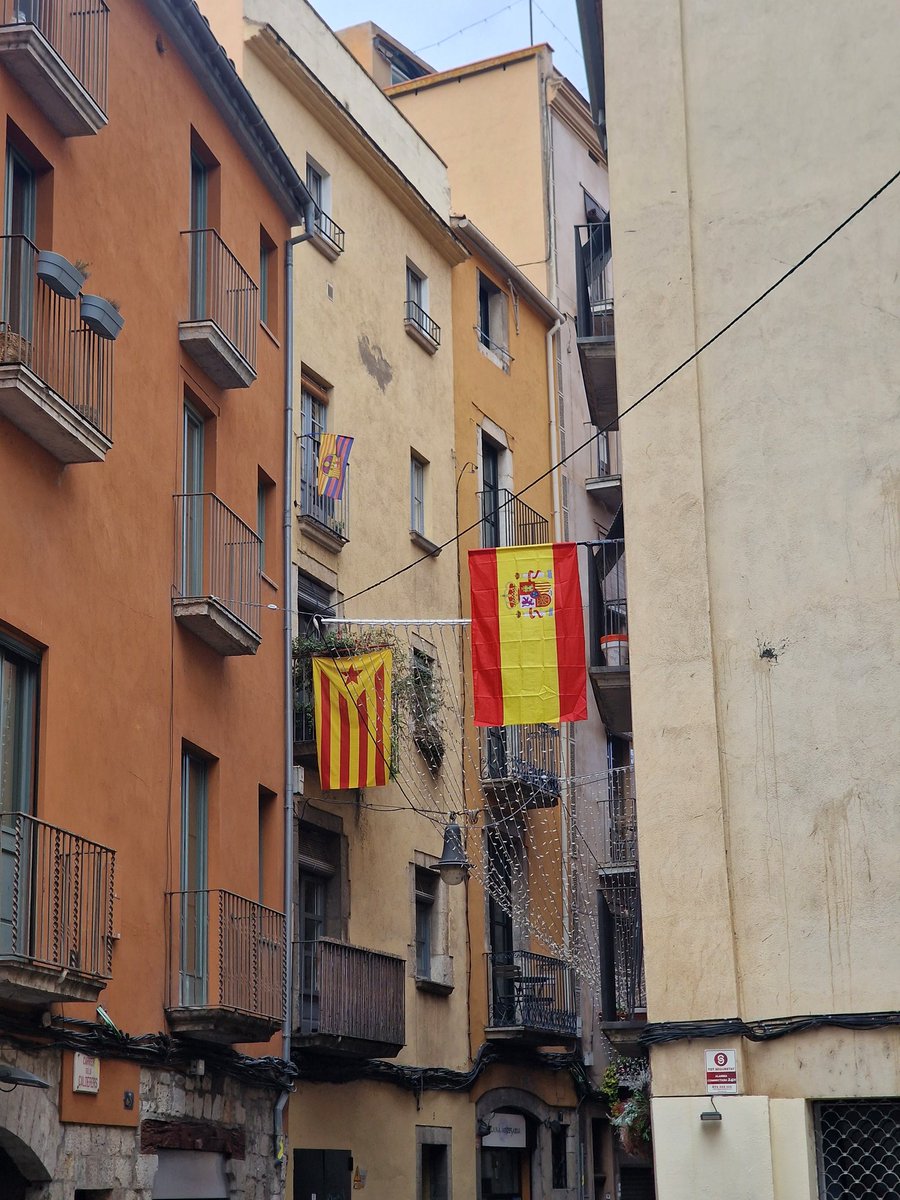 Ui quin disgust que tindrà en Lluc Salellas.