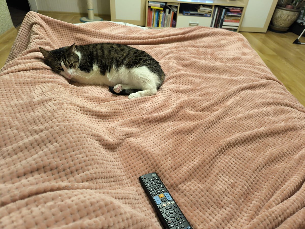 Laikam jāpērk lielāka gulta. Vietas par maz. 🤭