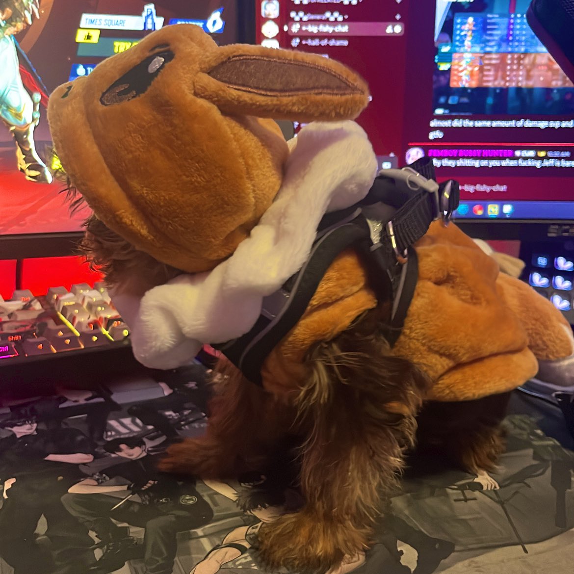 Guys I caught an Eevee🤭