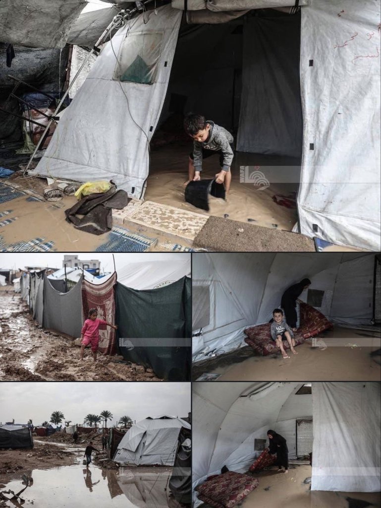 mohammedhaniya's tweet image. حين تُخذل غزة !

تغرق خيامها وأطفالها وما تبقى لهم من مقومات إيواء !